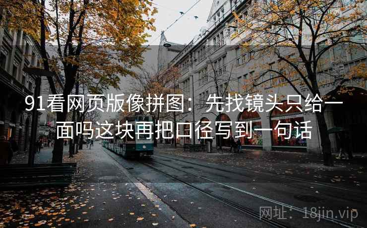 91看网页版像拼图：先找镜头只给一面吗这块再把口径写到一句话